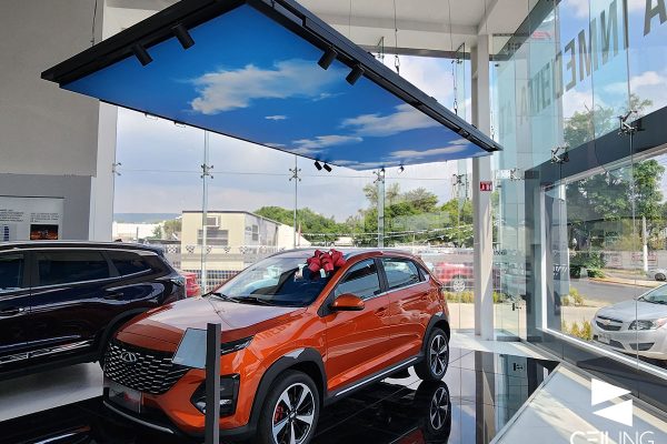 AGENCIAS AUTOMOTRICES-10