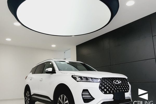 AGENCIAS AUTOMOTRICES-11