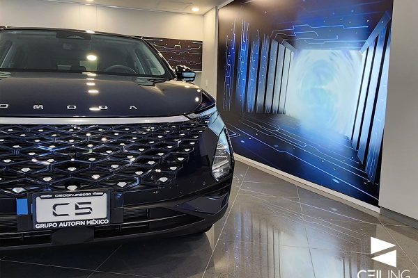 AGENCIAS AUTOMOTRICES-8
