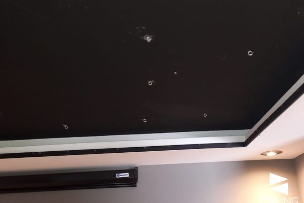 CIELO ESTRELLADO-2