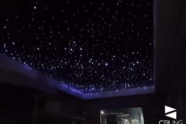 CIELO ESTRELLADO-3